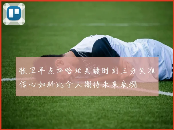 张卫平点评哈珀关键时刻三分失准信心如科比令人期待未来表现