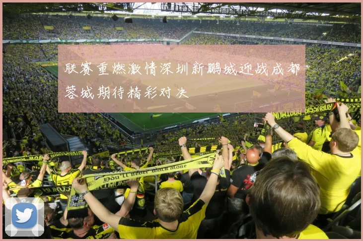 联赛重燃激情深圳新鹏城迎战成都蓉城期待精彩对决
