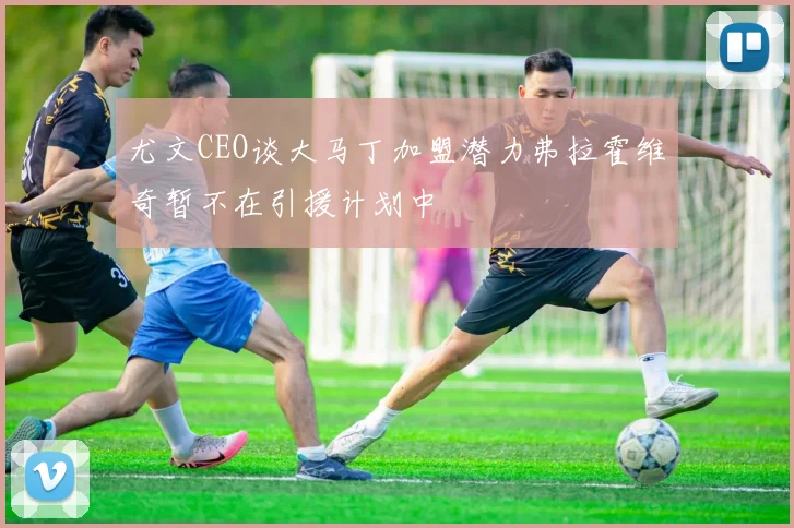 尤文CEO谈大马丁加盟潜力弗拉霍维奇暂不在引援计划中