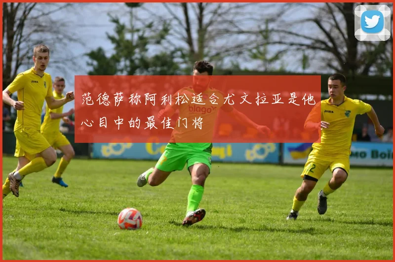 范德萨称阿利松适合尤文拉亚是他心目中的最佳门将