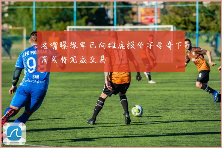 名嘴曝绿军已向雄鹿报价字母哥下周或将完成交易